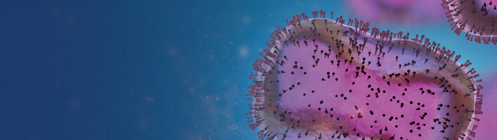slider_monkeypox-08.jpg__1600x450_q85_crop_subsampling-2
