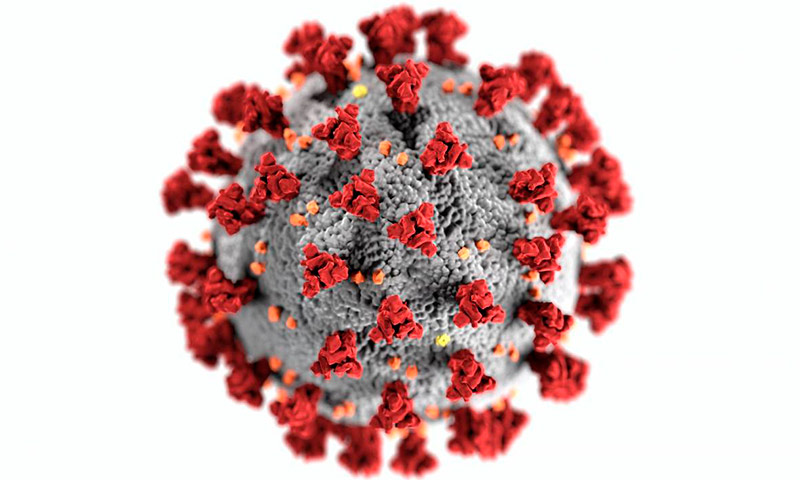 SARS-COV-2-FLU Vircell Kit