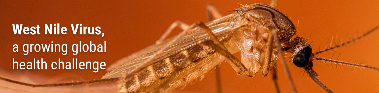 WNV diagnosis