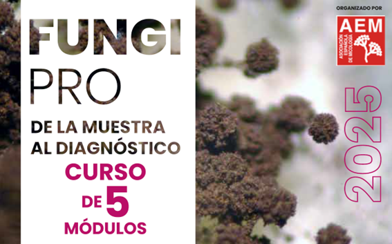 Fungi pro