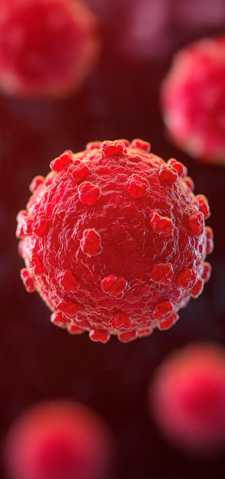 molecular diagnosis for hepatitis E