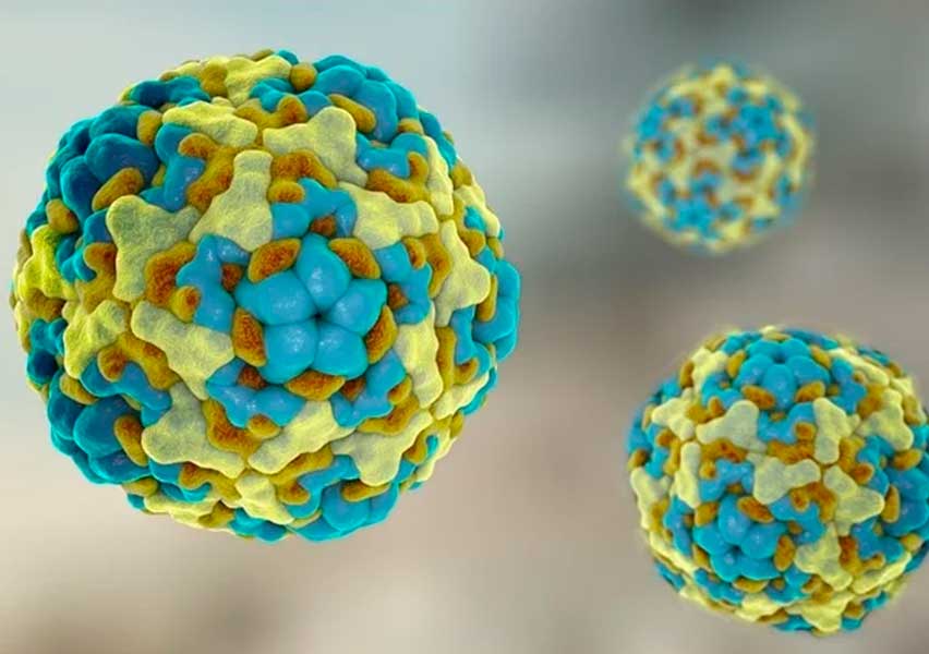enterovirus