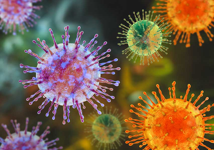 metapneumovirus
