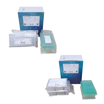 Nucleic Acid Extraction