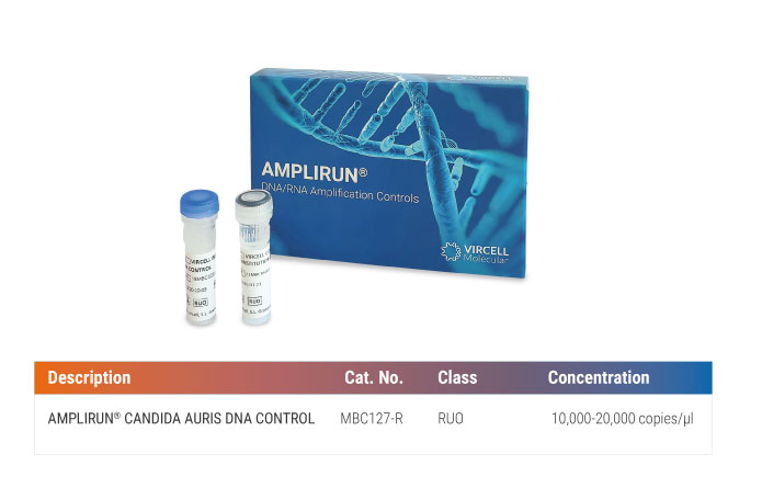 Molecular control amplirun candida auris