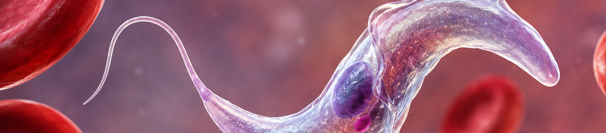 algoritmo diagnostico chagas