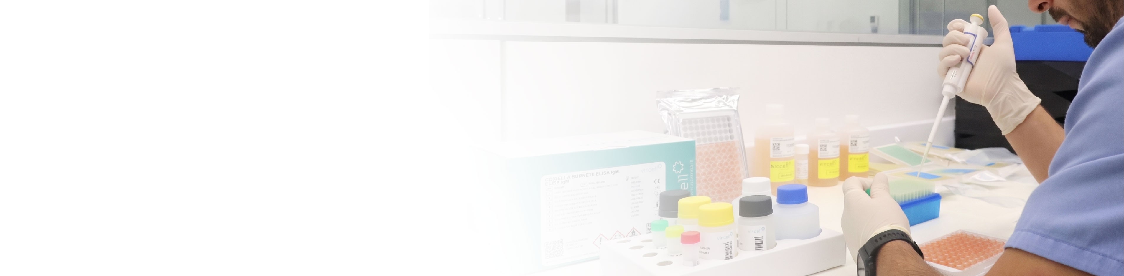 Banner laboratorio elisa