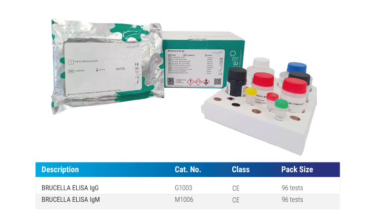 brucella elisa diagnostics