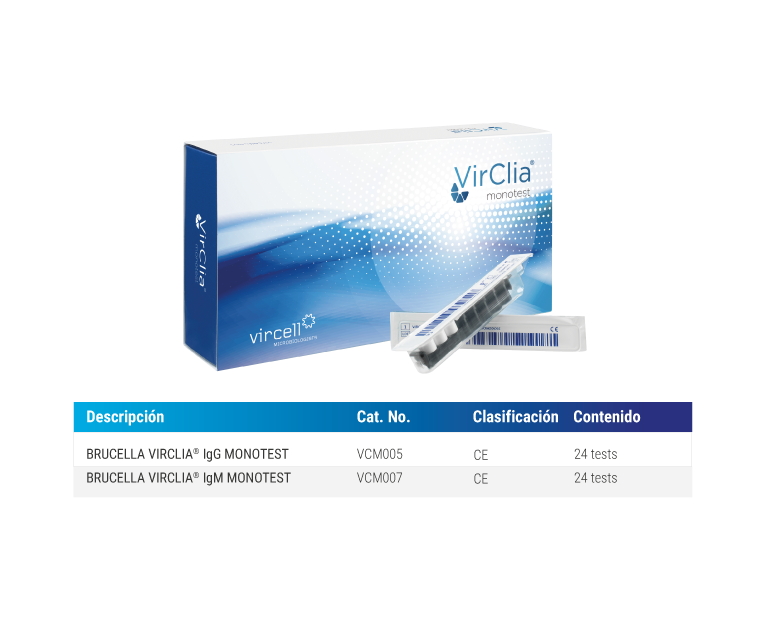 diagnostic brucella