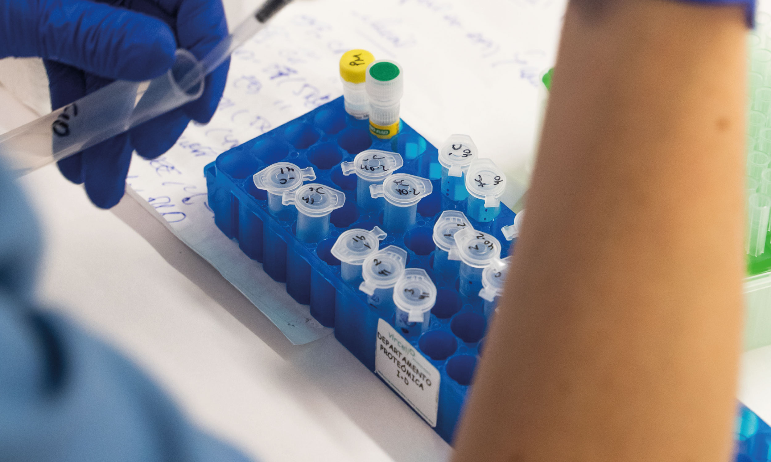 diagnostico in vitro