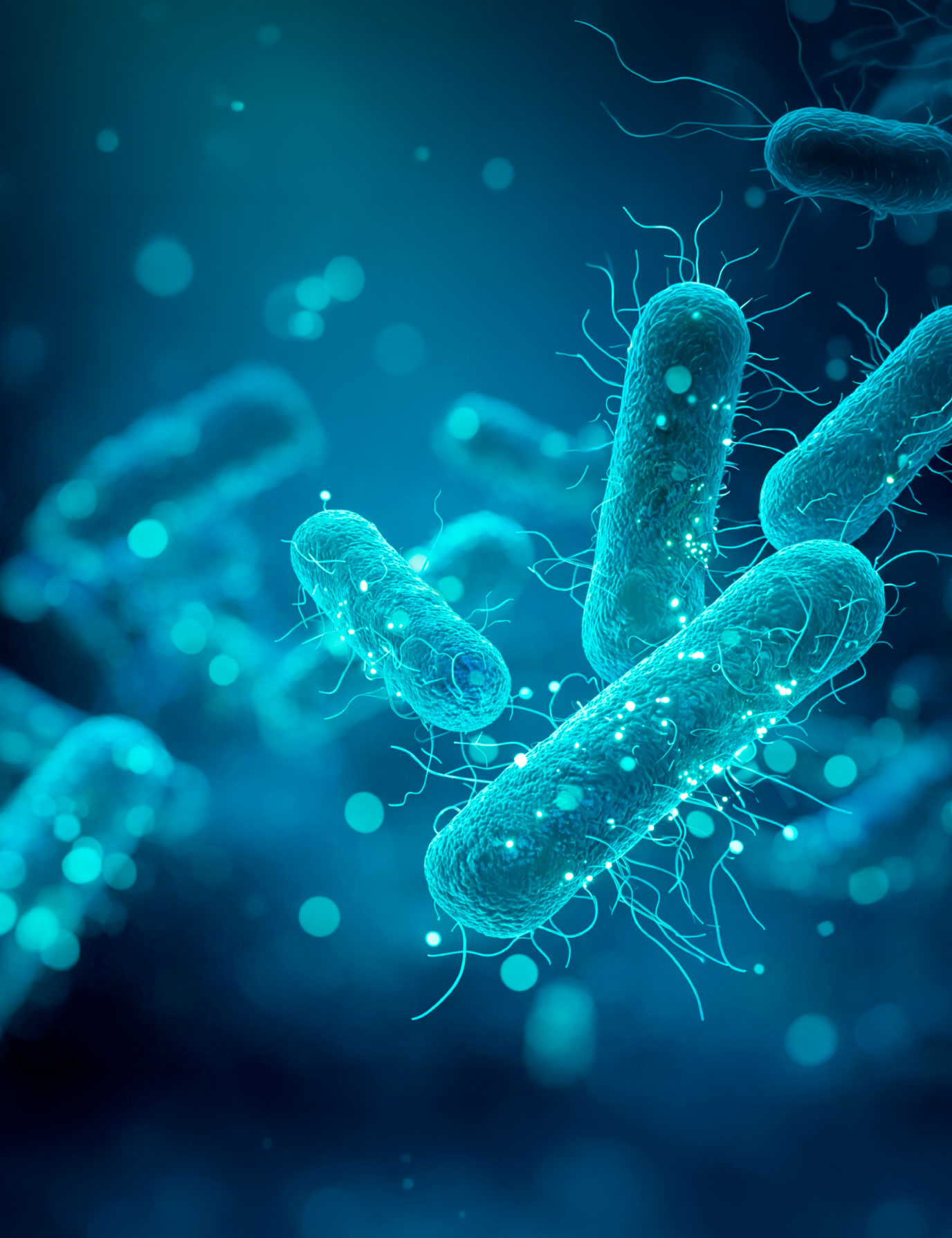 Detection of Helicobacter pylori antigen in stool samples to support non-invasive diagnosis of active infection.