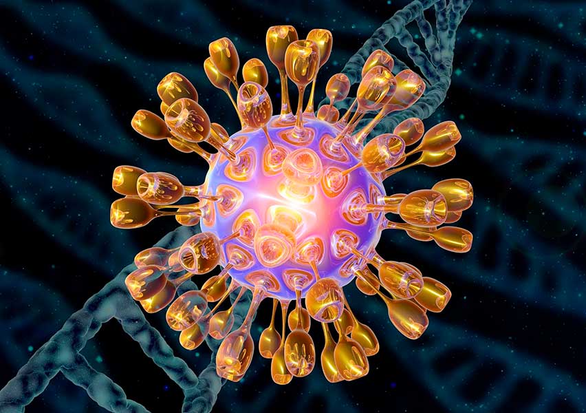 herpes simplex virus