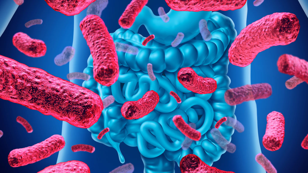 microbiota_infecciones gastro_antc