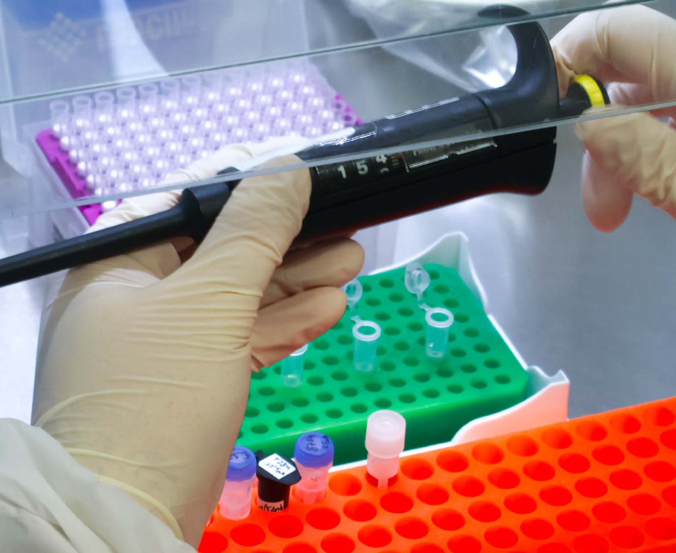 candida vaginal PCR