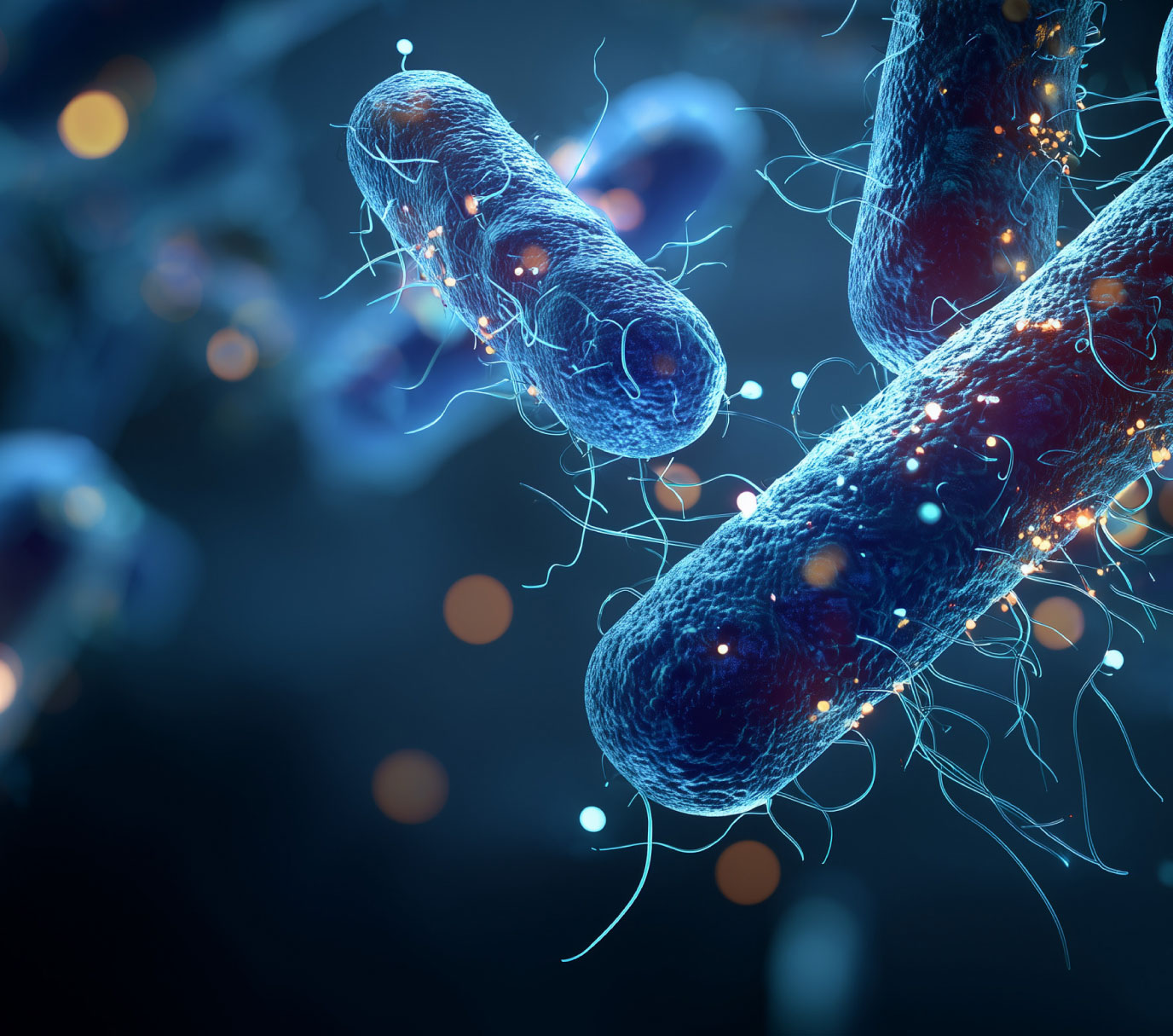 Preparación sencilla de muestras de heces para detección de antígeno de Helicobacter pylori sin centrifugación rutinaria.