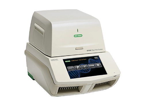 BIO-RAD CFX96