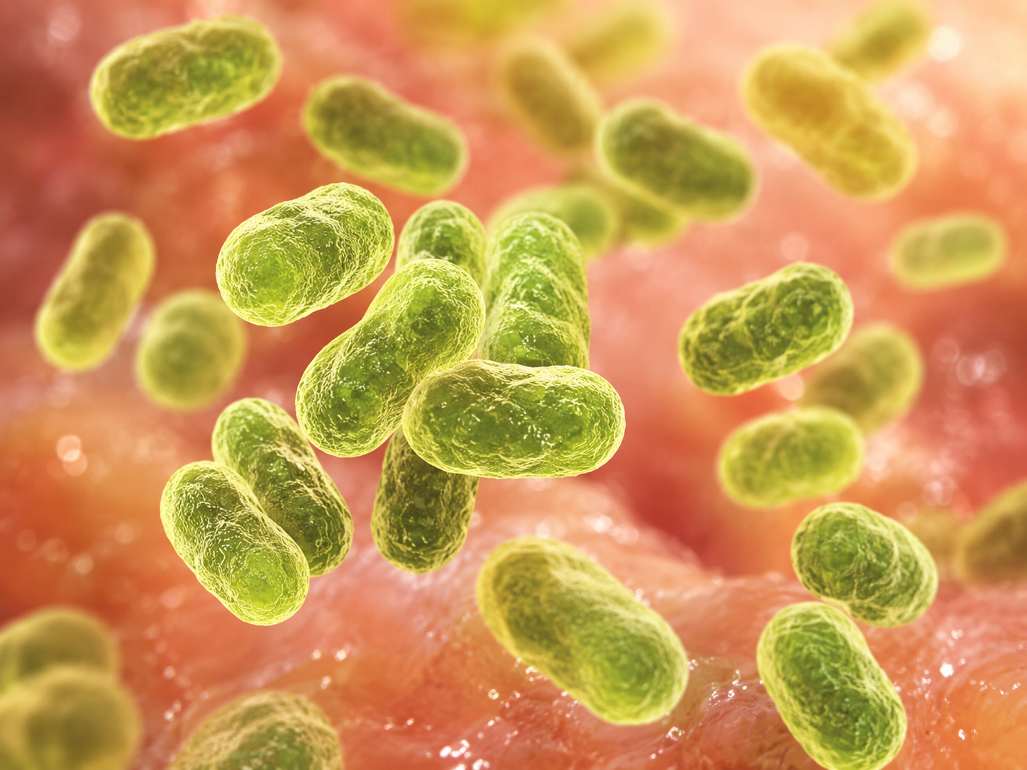 Francisella tularensis
