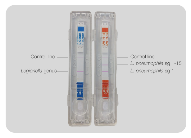 kit virapid legionella
