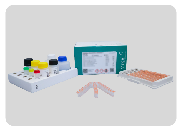 Kit ELISA