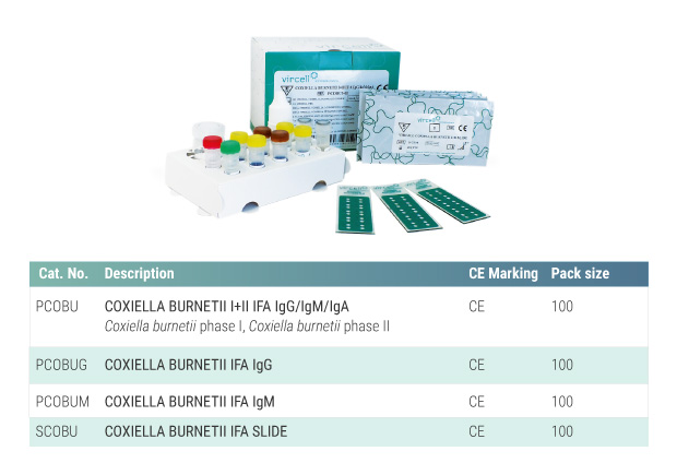 Solutions IFA Coxiella