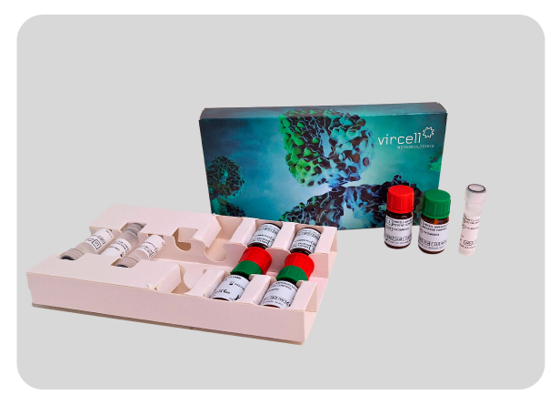 Vircell External Control Galactomannan