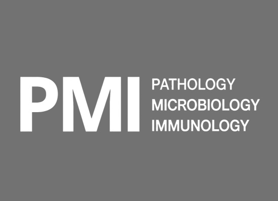 pmi logo