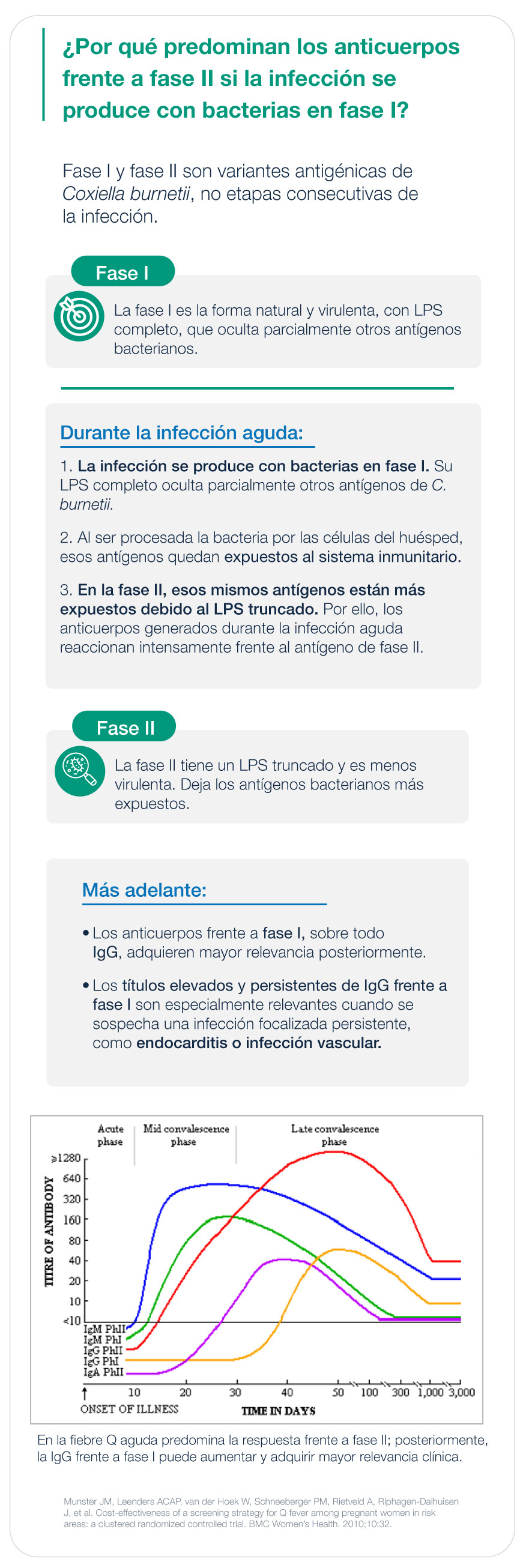 phase I and phase II coxiella burnetii