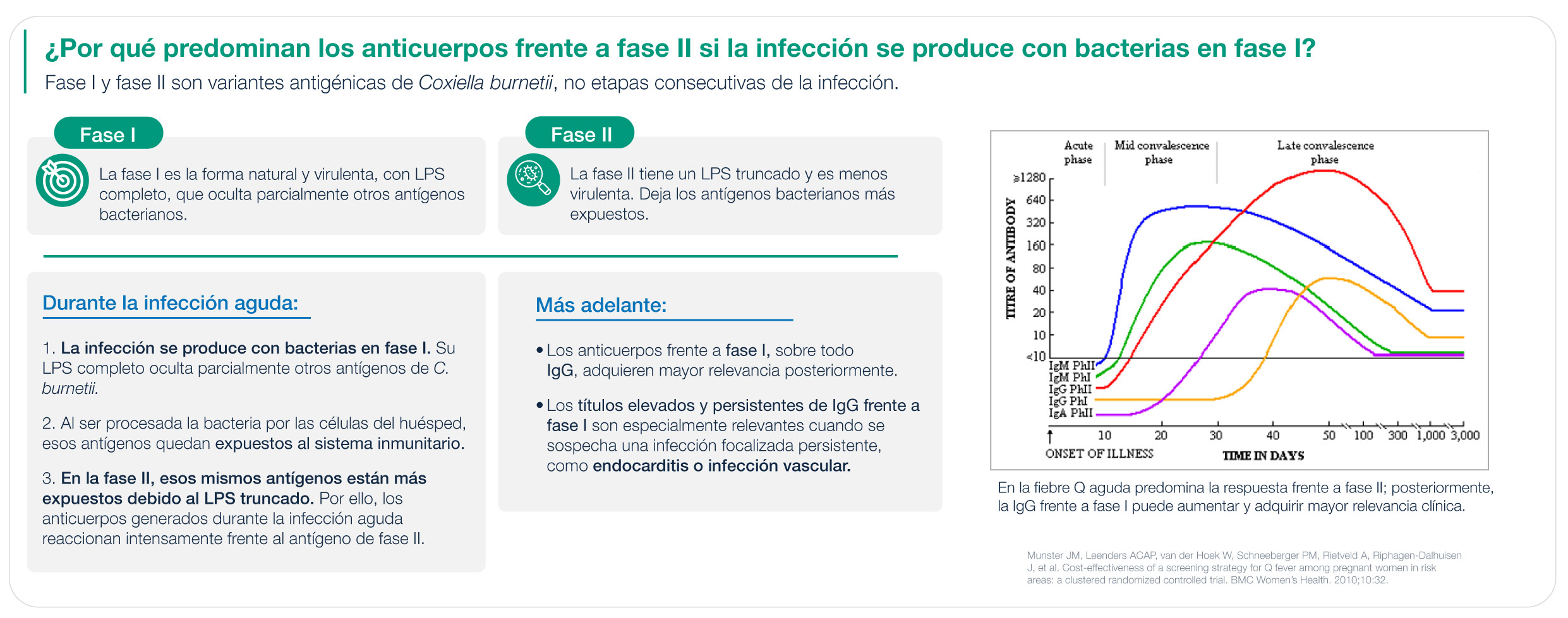 coxiella burnetii phase I and phase II