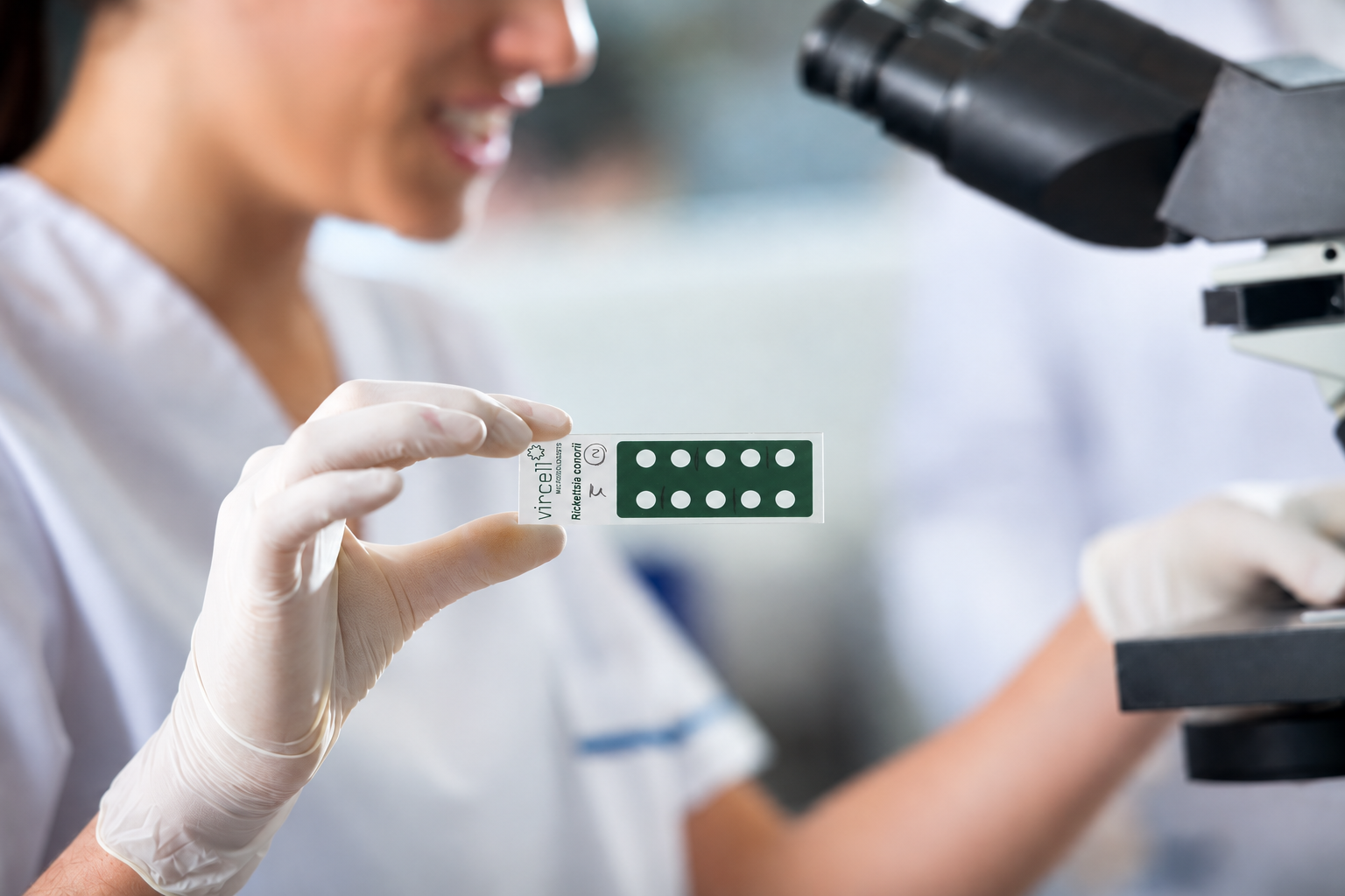 porta_microscopio_IFA