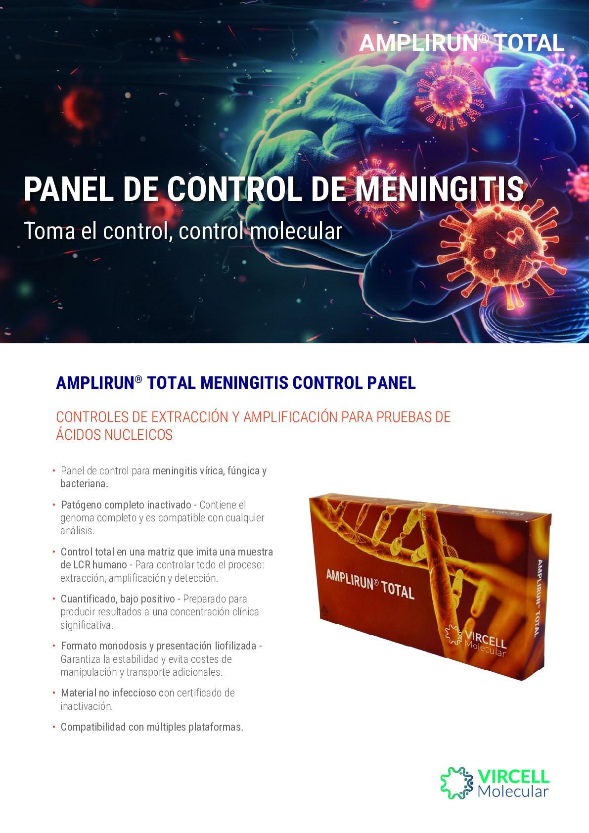 Flyer Amplirun Total Meningitis