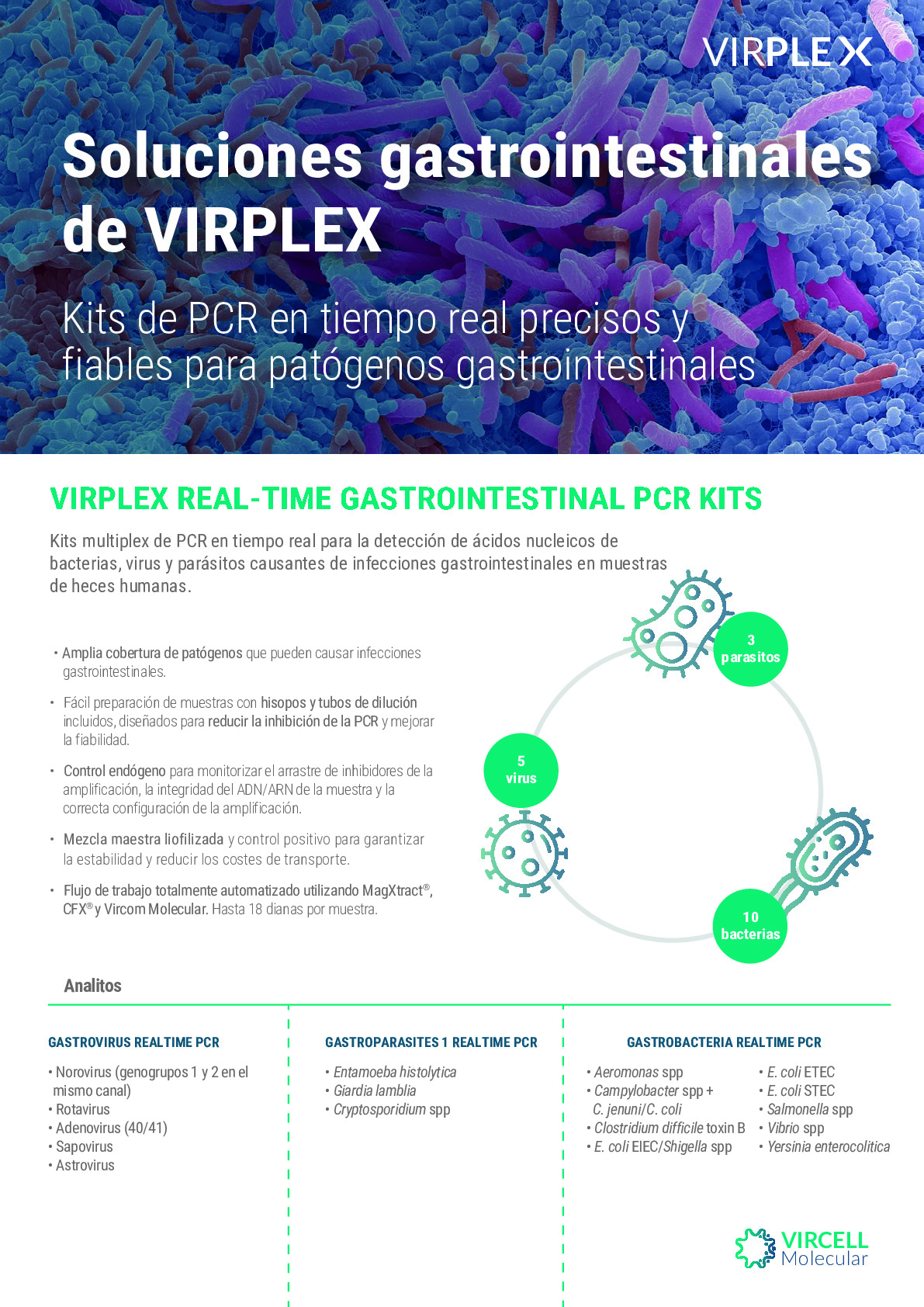 REALTIME PCR_GASTRO_ES_PMS135-02.25_0.pdf