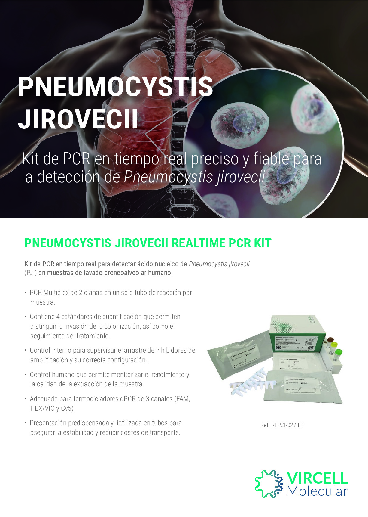 PNEUMOCYSTIS REALTIME PCR KIT_ES_PMS138-05.25.pdf