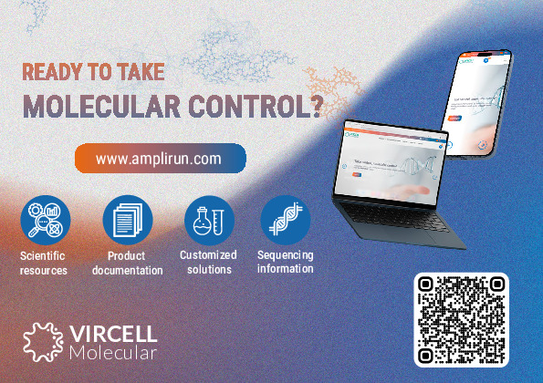 AMPLIRUN WEB