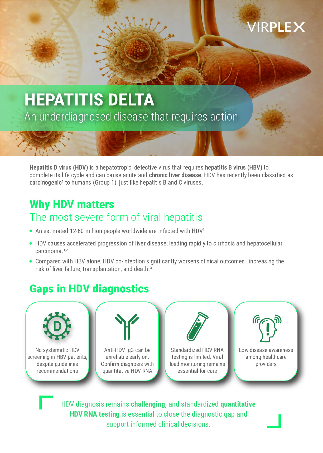HEPATITIS DELTA REALTIME PCR KIT brochure