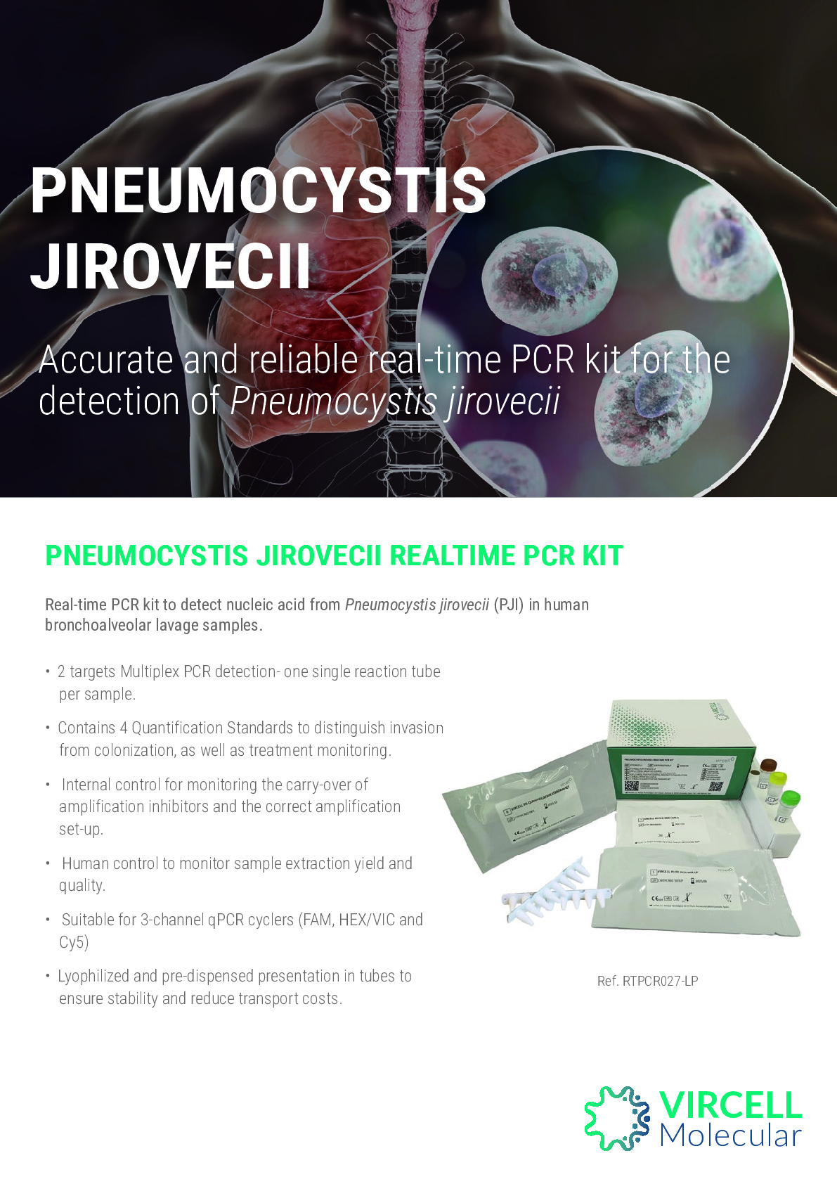 PNEUMOCYSTIS REALTIME PCR KIT_EN_PME138-05.25.pdf