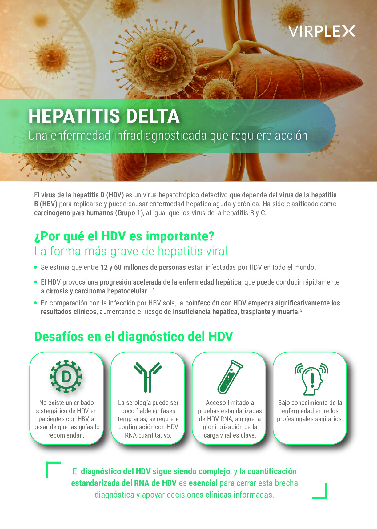 HEPATITIS DELTA REALTIME PCR KIT Flyer