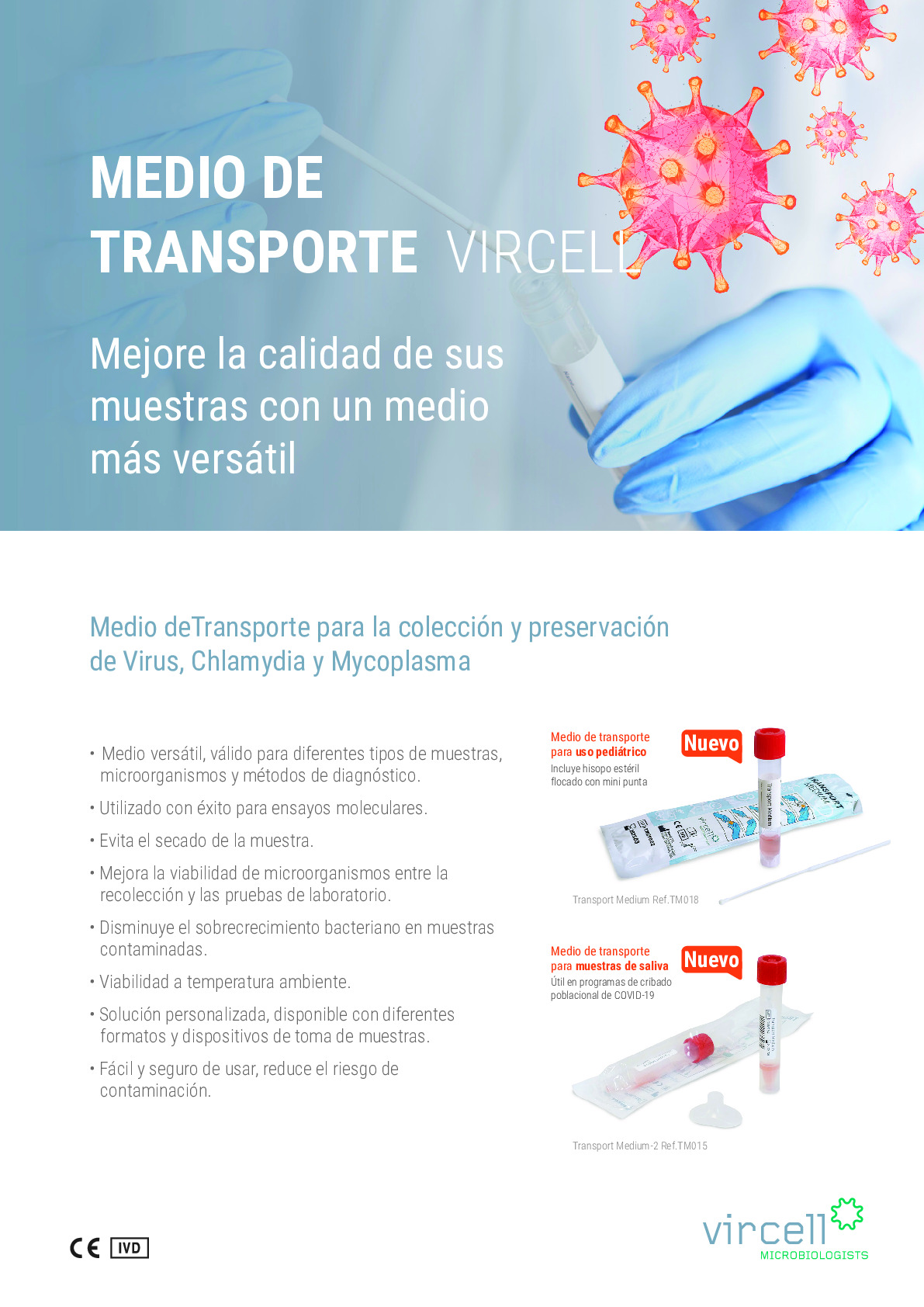MEDIOS DE TRANSPORTE Flyer