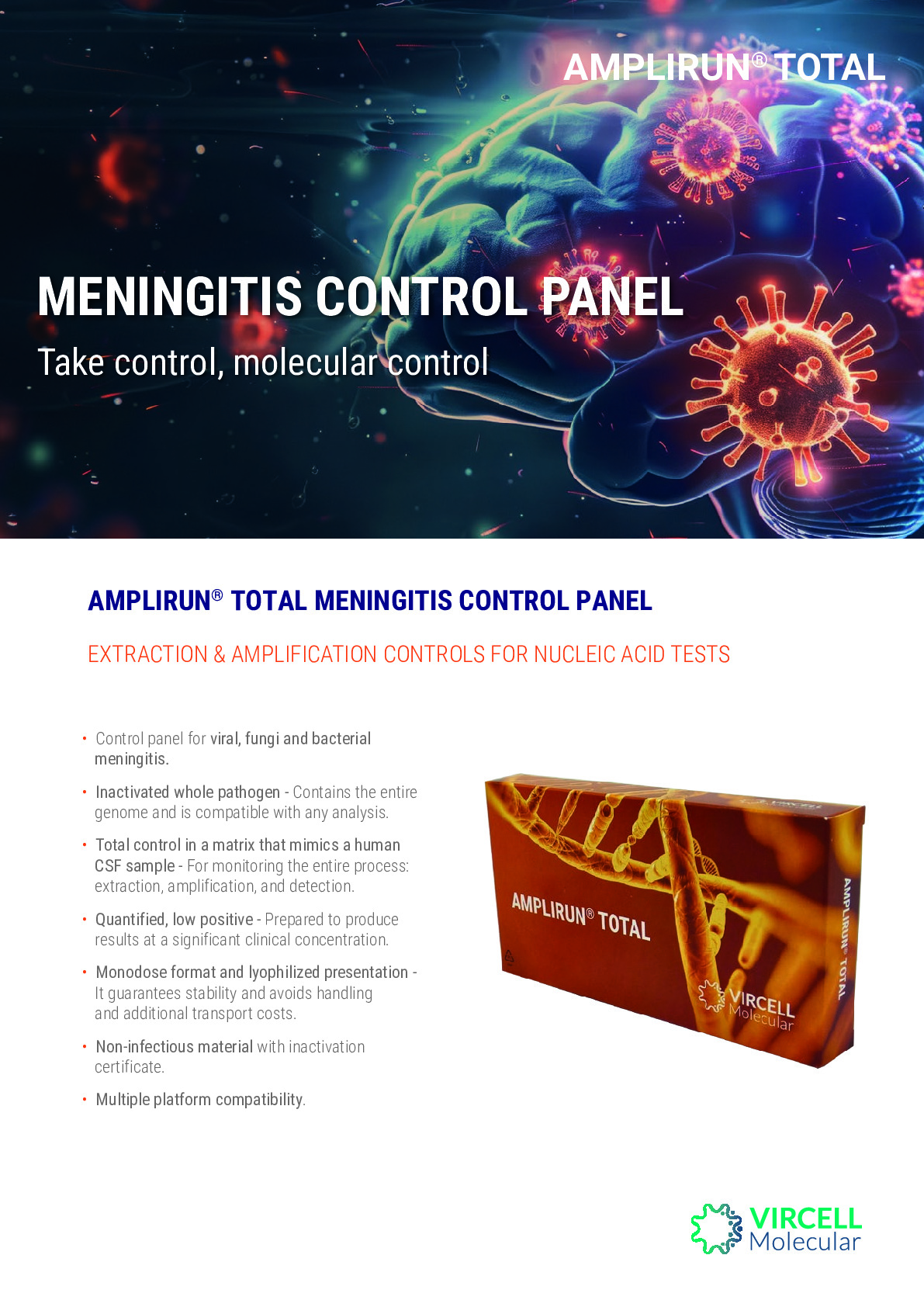 Flyer AMPLIRUN Total Meningitis.pdf