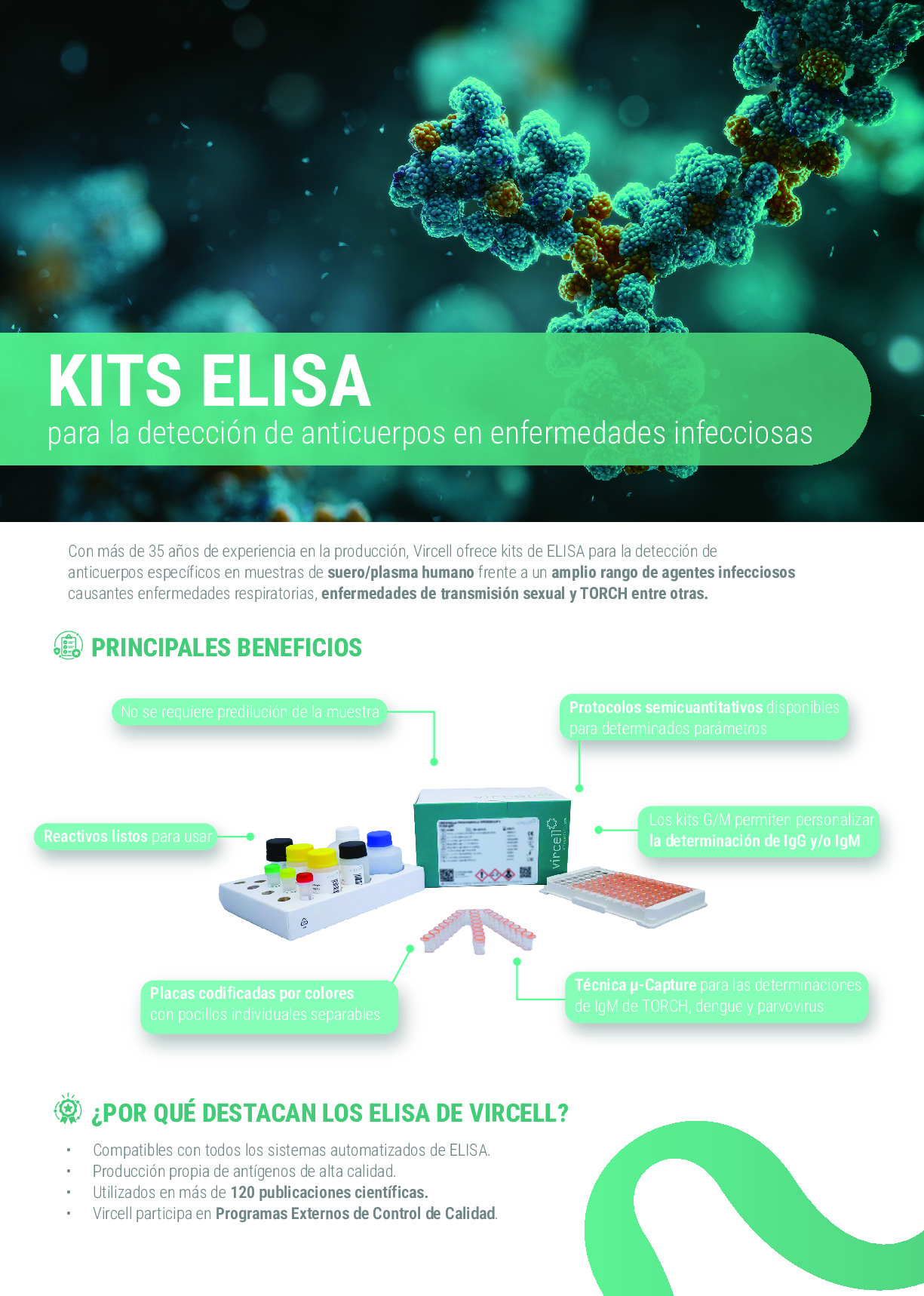 ELISA Flyer