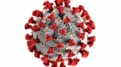 SARS-COV-2-FLU Vircell Kit