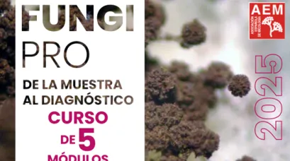 Fungi pro