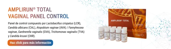 infecciones vaginales polimicrobianas