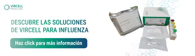 TEMPORADA INFLUENZA 2025 2026