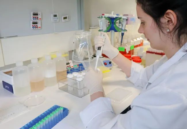 helicobacter pylori antigen detection