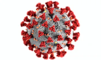 SARS-COV-2-FLU Vircell Kit