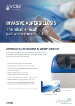 Captura flyer EN.JPG