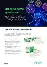 realtimepcr_zikv_denv_chikv_en_pme1100321.jpg