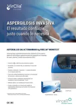 Captura flyer ES.JPG
