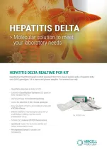 HEPATITIS DELTA REALTIME PCR KIT EN.JPG